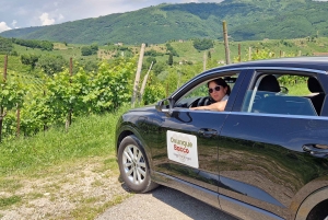 Valdobbiadene: Tour privado y cata de Prosecco con sumiller