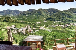 Valdobbiadene: Tour privado y cata de Prosecco con sumiller