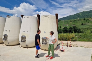 Valdobbiadene: Tour privado y cata de Prosecco con sumiller