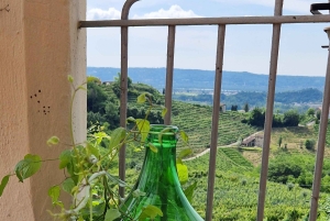 Valdobbiadene: Tour privado y cata de Prosecco con sumiller