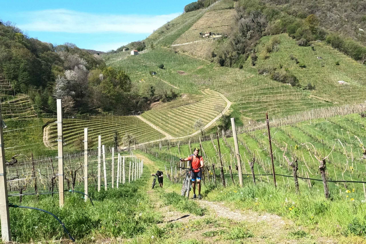 Valdobbiadene - Prosecco Hills Cycling with Sommelier