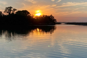 Venezia:Tour con aperitivo al tramonto