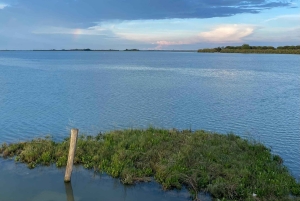 Venezia:Tour con aperitivo al tramonto