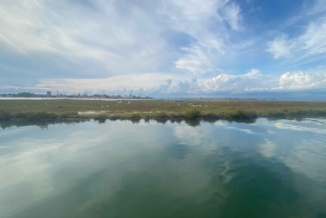 Venezia: Tour privato in Barca a Murano, Burano e Torcello