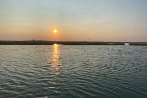 Venedig: Private Tour mit dem Boot nach Murano, Burano und Torcello