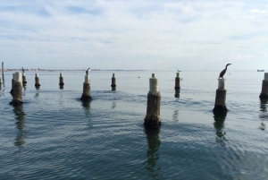 Venedig: Private Tour mit dem Boot nach Murano, Burano und Torcello