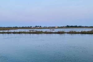 Venedig: Private Tour mit dem Boot nach Murano, Burano und Torcello
