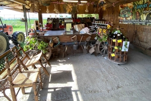 Venedig: Private Tour mit dem Boot nach Murano, Burano und Torcello