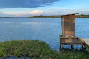 Venedig: Private Tour mit dem Boot nach Murano, Burano und Torcello