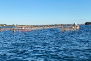 Venedig: Private Tour mit dem Boot nach Murano, Burano und Torcello