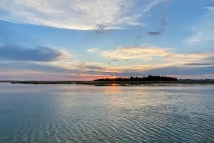 Venedig: Private Tour mit dem Boot nach Murano, Burano und Torcello