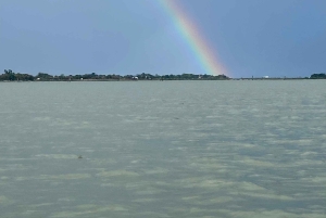 Venedig: Private Tour mit dem Boot nach Murano, Burano und Torcello