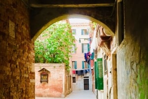 Venice: 1.5-Hour Walking Tour