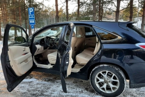 Venice Airport: 1-Way Private Transfer to/from Piazzale Roma