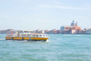 Venice: Alilaguna Blue Line in Venice City Centre