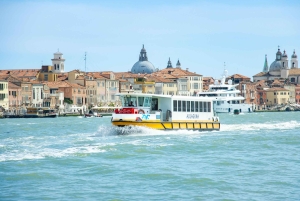 Venice: Alilaguna Blue Line in Venice City Centre