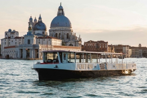 Venice and Murano: Panoramic Boat Tour with Audio Guide