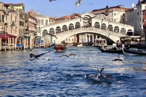 Basílica de São Marcos: bilhete de visita guiada + guia áudio completo