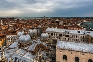 Venezia: Billetter til klokketårnet og San Marco History Gallery