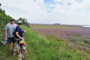 Venice: Bike Tour Honey & artichockes on Sant’Erasmo Island