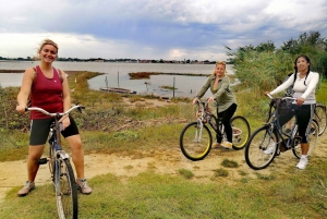 Venice: Bike Tour Honey & artichockes on Sant’Erasmo Island