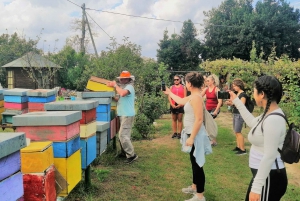 Venice: Bike Tour Honey & artichockes on Sant’Erasmo Island