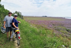 Venice: Bike Tour Honey & artichockes on Sant’Erasmo Island