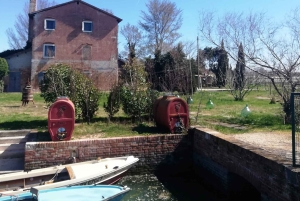 Venice: Bike Tour Honey & artichockes on Sant’Erasmo Island