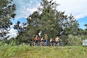 Venice: Bike Tour Honey & artichockes on Sant’Erasmo Island