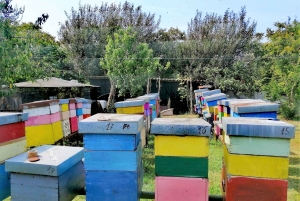 Venice: Bike Tour Honey & artichockes on Sant’Erasmo Island