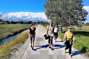 Venice: Bike Tour Honey & artichockes on Sant’Erasmo Island