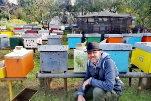 Venice: Bike Tour Honey & artichockes on Sant’Erasmo Island