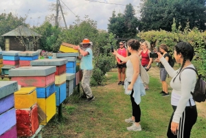 Venice: Bike Tour Honey & artichockes on Sant’Erasmo Island