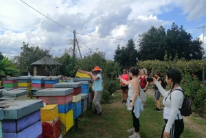 Venice: Bike Tour Honey & artichockes on Sant’Erasmo Island