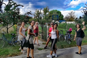 Venice: Bike Tour Honey & artichockes on Sant’Erasmo Island