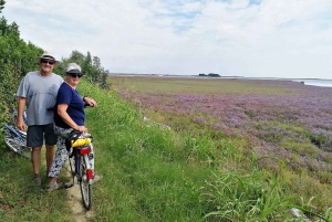 Venice: Bike Tour Honey & artichockes on Sant’Erasmo Island