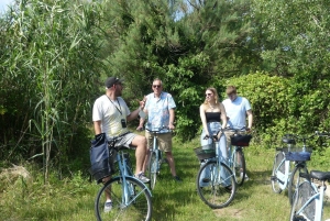 Venice: Bike Tour Honey & artichockes on Sant’Erasmo Island