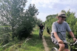 Venice: Bike Tour Honey & artichockes on Sant’Erasmo Island