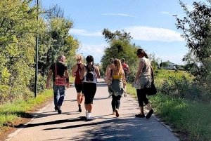 Venice: Bike Tour Honey & artichockes on Sant’Erasmo Island