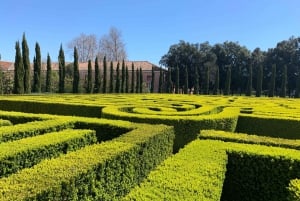 Venice: Borges Labyrinth Experience on San Giorgio Island