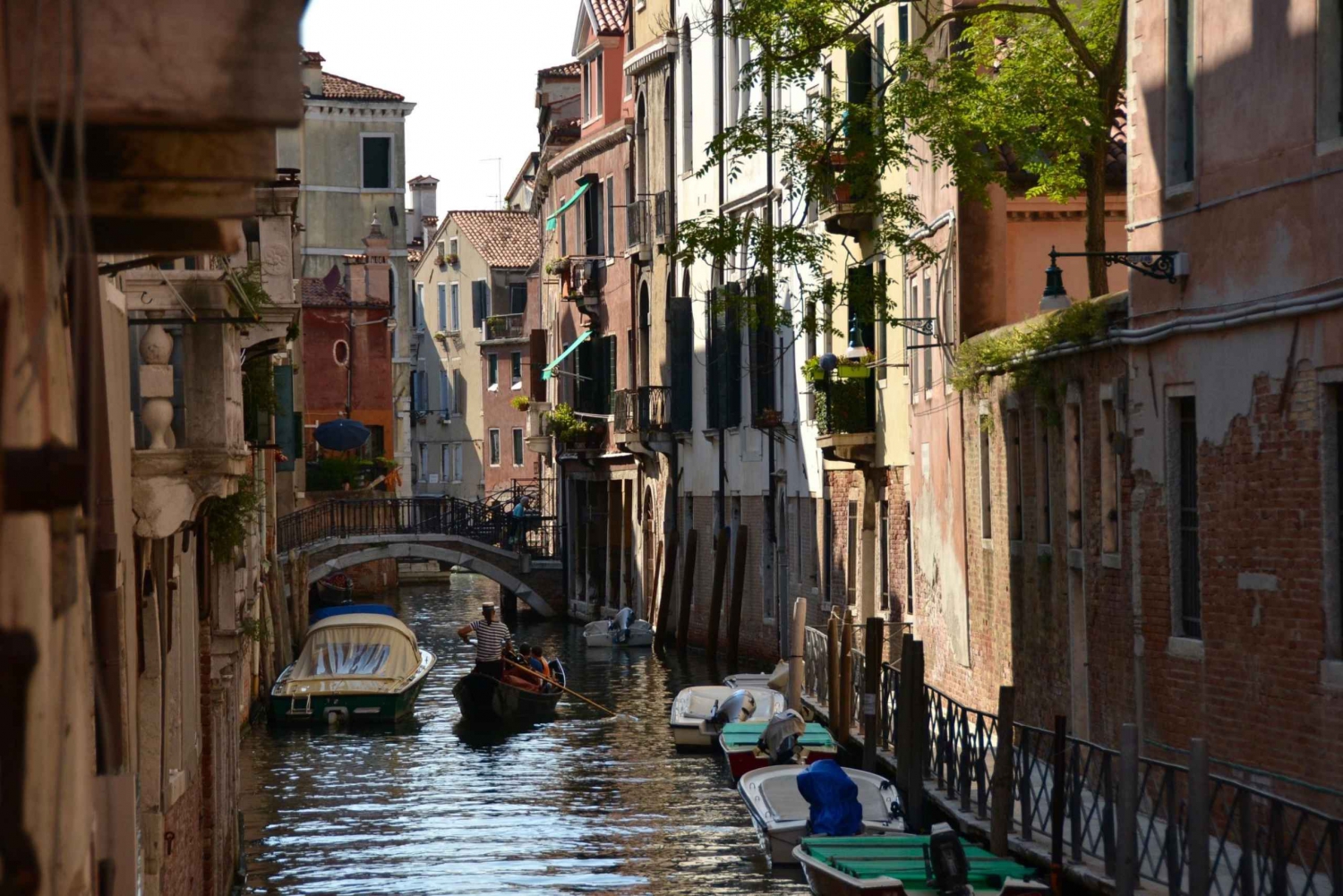 Venice: Castello and Piazza San Marco Adventure Tour