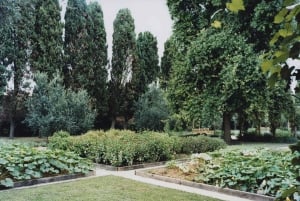 Venice: Convent Garden of Redentore Entry Ticket