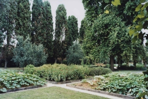 Venetsia: Redentoren luostaripuutarhan pääsylippu