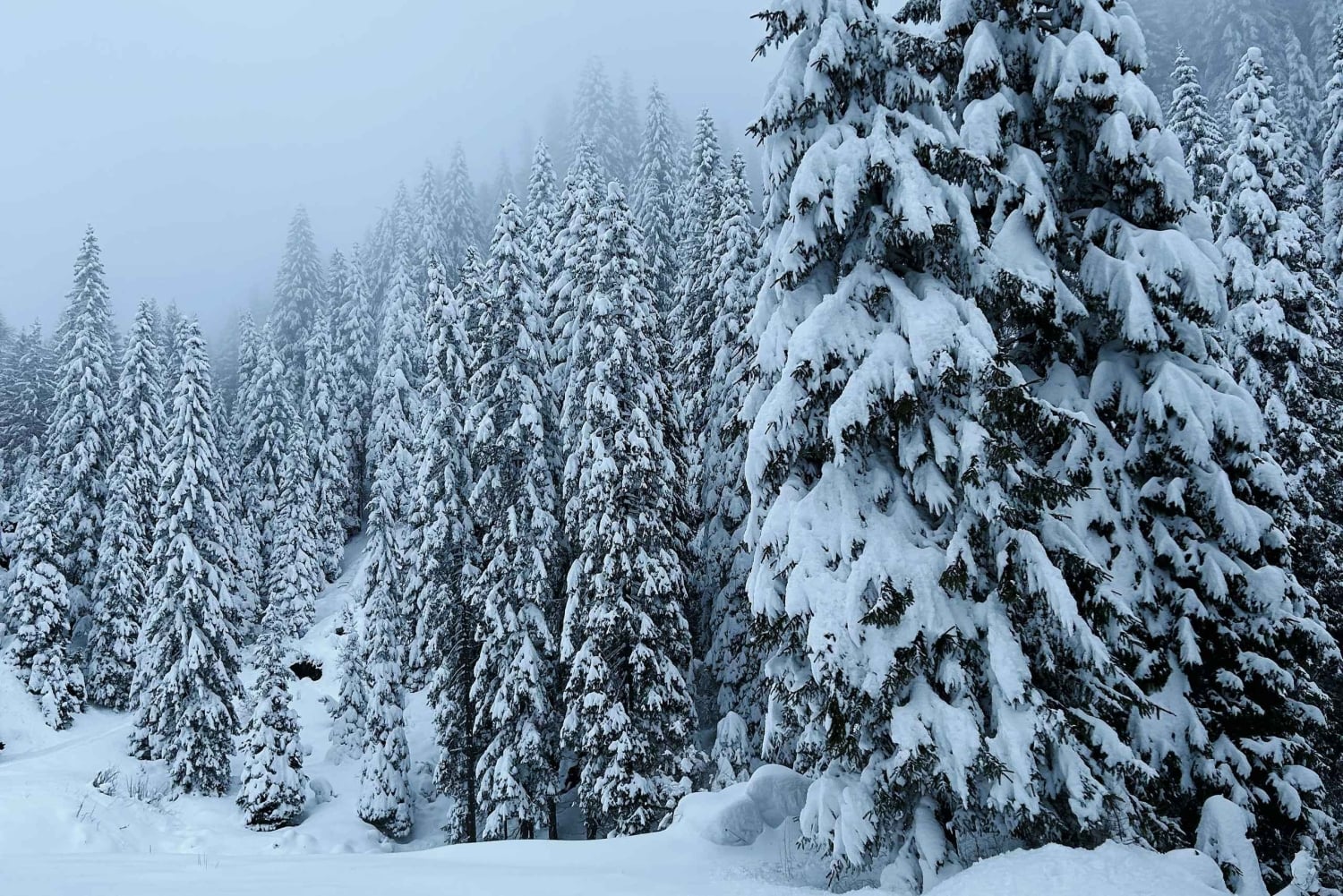 Venetië: Dolomieten dagtour met gids voor kleine groep