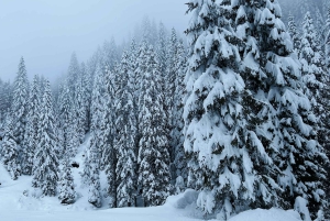Венеция: Однодневная экскурсия в Доломиты с гидом в составе небольшой группы