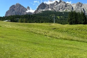 Venetië: Dolomieten dagtour met gids voor kleine groep