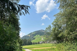 Venetië: Dolomieten dagtour met gids voor kleine groep