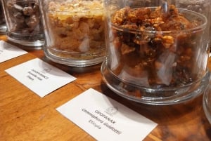 VENISE, ENCENS ET MYRRHE ! UN VOYAGE DANS LE COMMERCE DES AROMATES