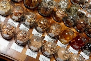 VENISE, ENCENS ET MYRRHE ! UN VOYAGE DANS LE COMMERCE DES AROMATES