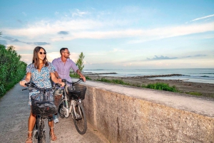 Venice: Full Day Bike Rental